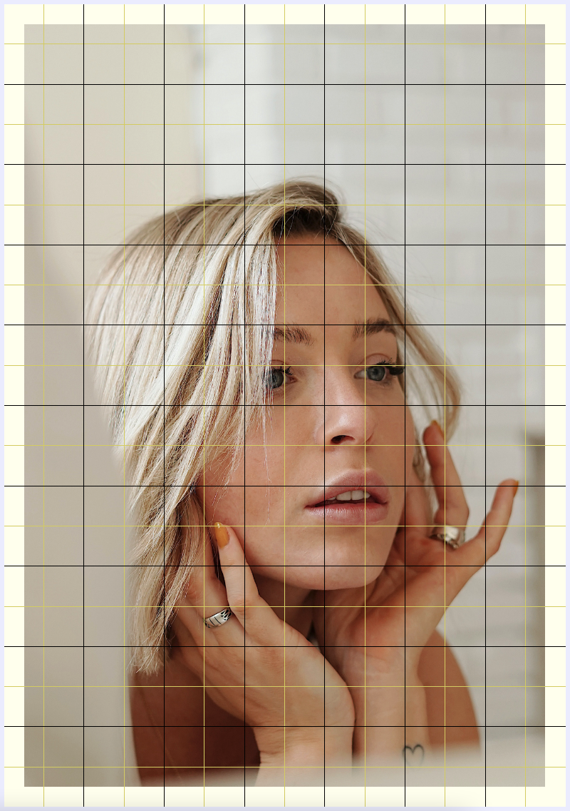 Dual grid display